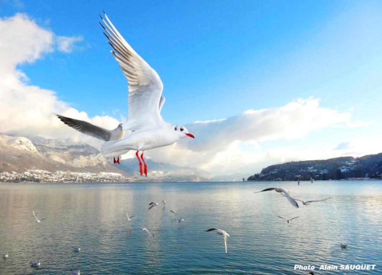 Magic Moments Appartement Annecy Luaran gambar